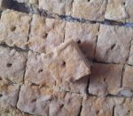 (Rock wool)