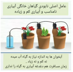 آبیاری گلدان با سفال